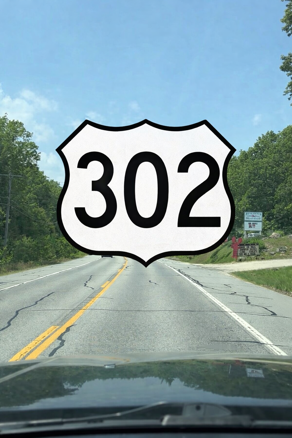 From Route 302 to Zoom Court (Not What I Expected) - Sebago Lake, Maine
