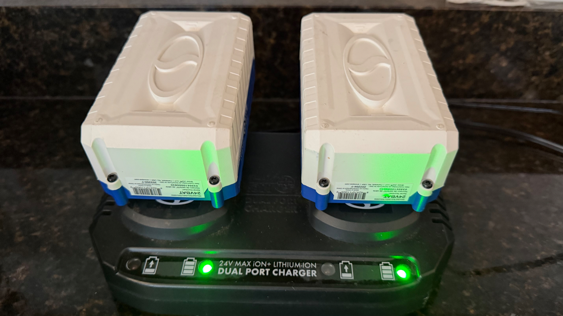 Snow Joe dual-port battery charger